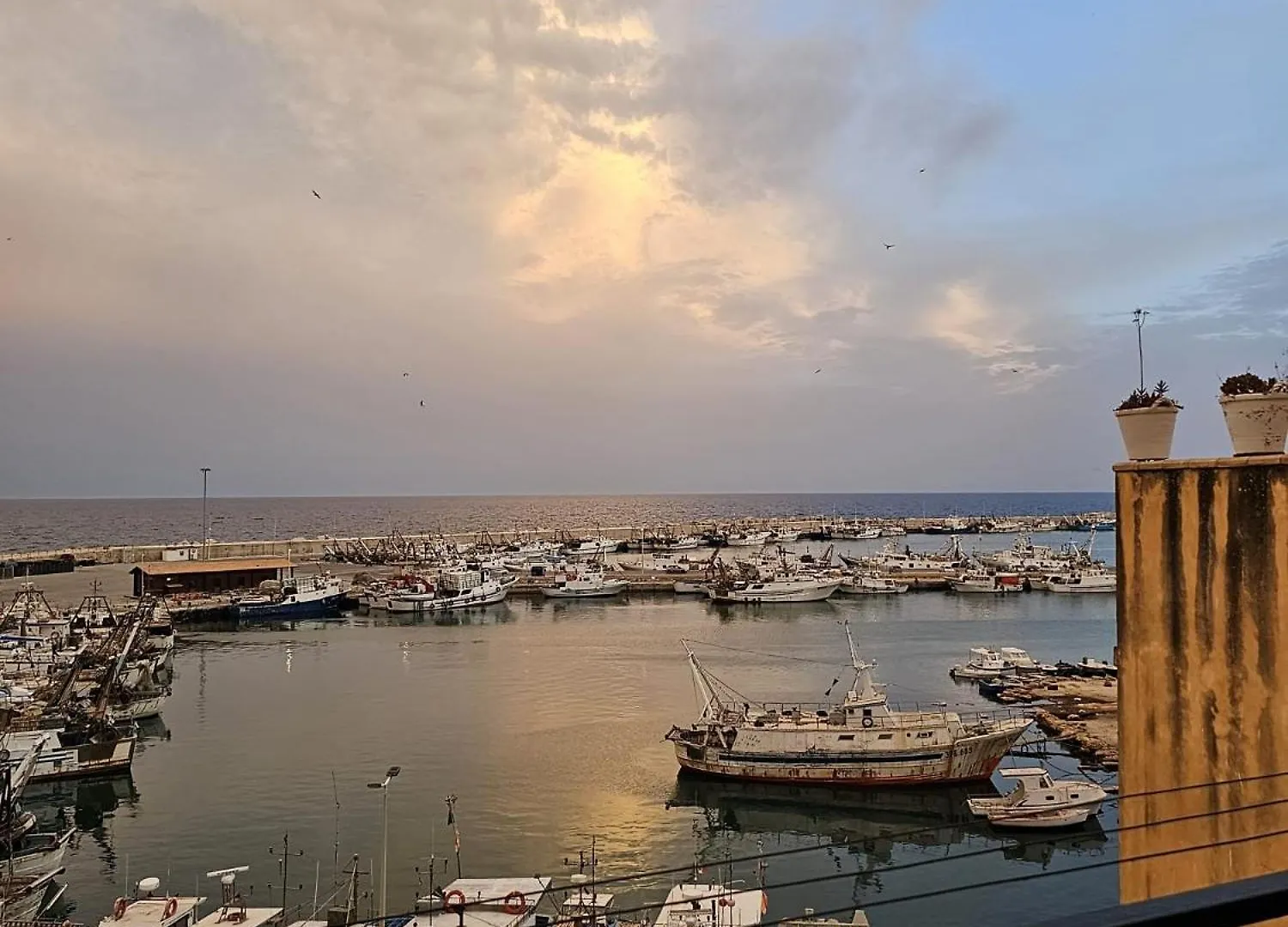 Molo Suite Sciacca 0*,  Włochy